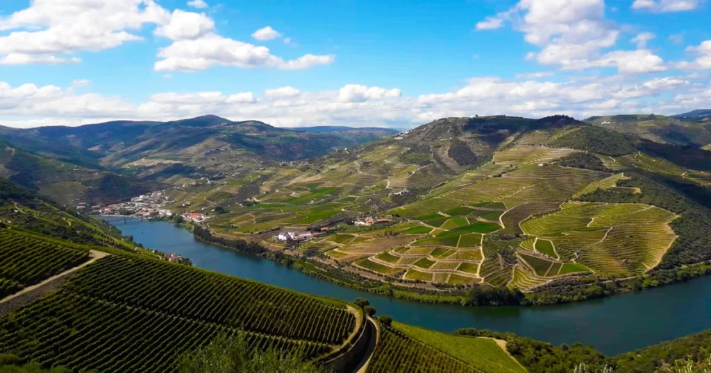 Miradouro do Douro - Miradouro de São Leonardo de Galafura