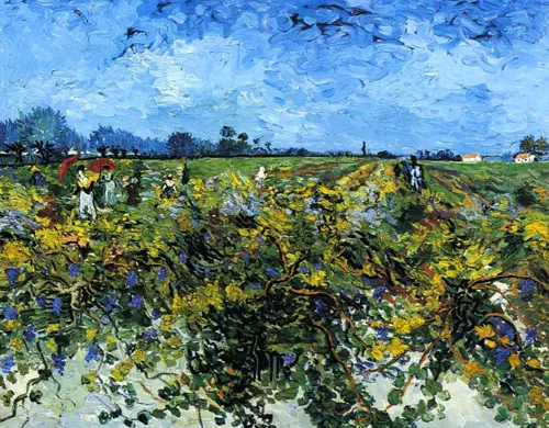 Vicent van Gogh - A Vinha Verde
