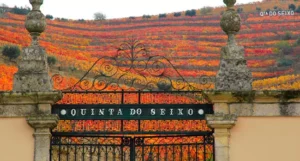 Quinta do Seixo - Sandeman - World's Best Vineyards 2023