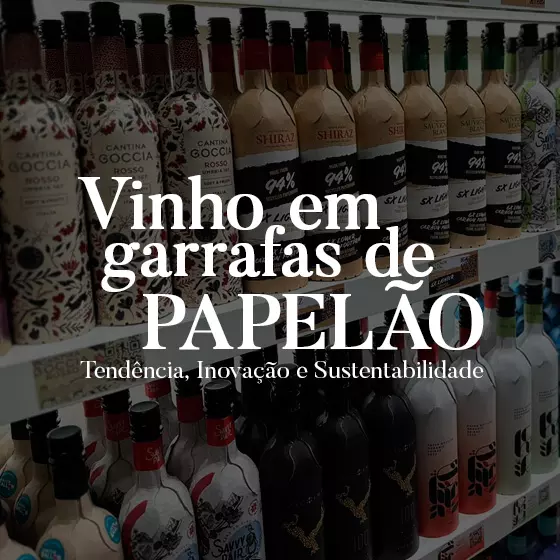 Vinho em Garrafa de Papelao