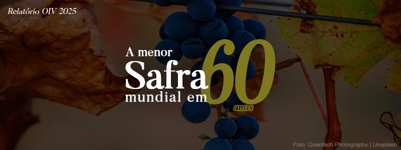 Produção Mundial de Vinho 2024