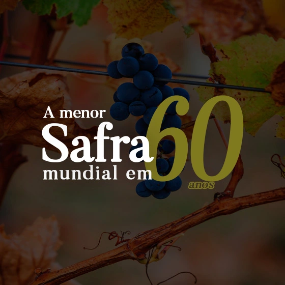 Produção Mundial d Vinho 2024 - Relatório Oiv 2025