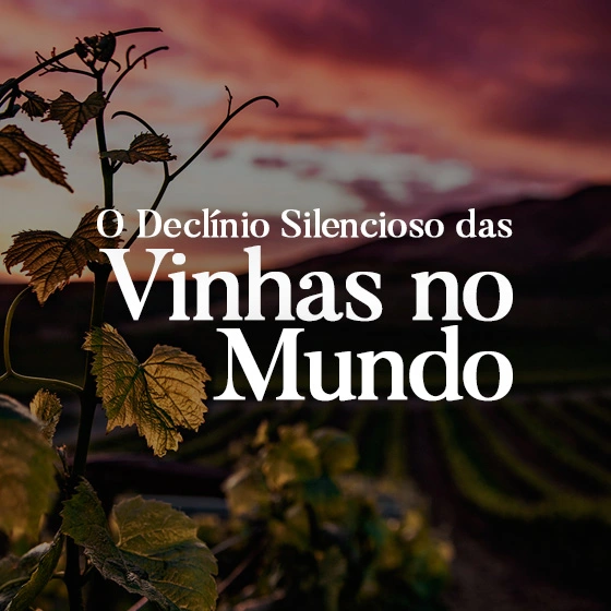 Área de vinhedos por país em 2024 segundo relatório OIV