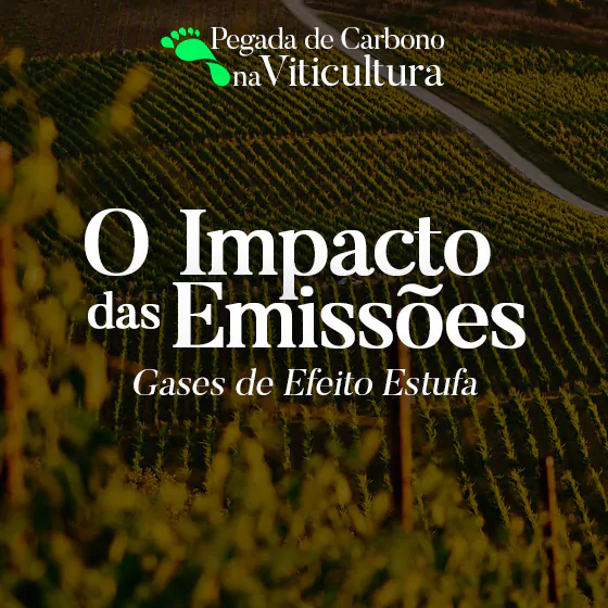 O impacto das emissões de gases de efeito estufa na viticultura