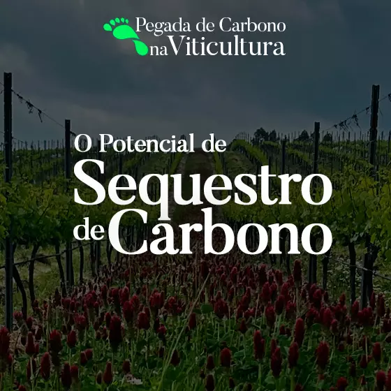 O potencial de sequestro de carbono na viticultura