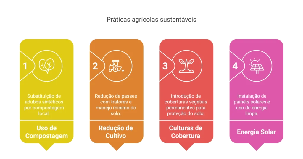 Práticas Agrícolas Sustentáveis na Viticultura