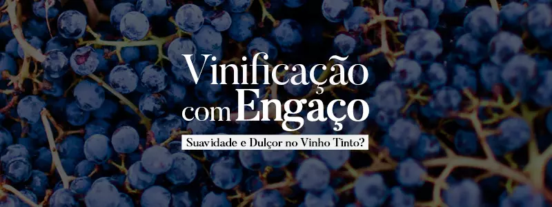 Vinificação com Engaço