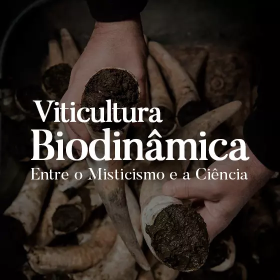 Viticultura Biodinâmica - Aspectos do Vinho