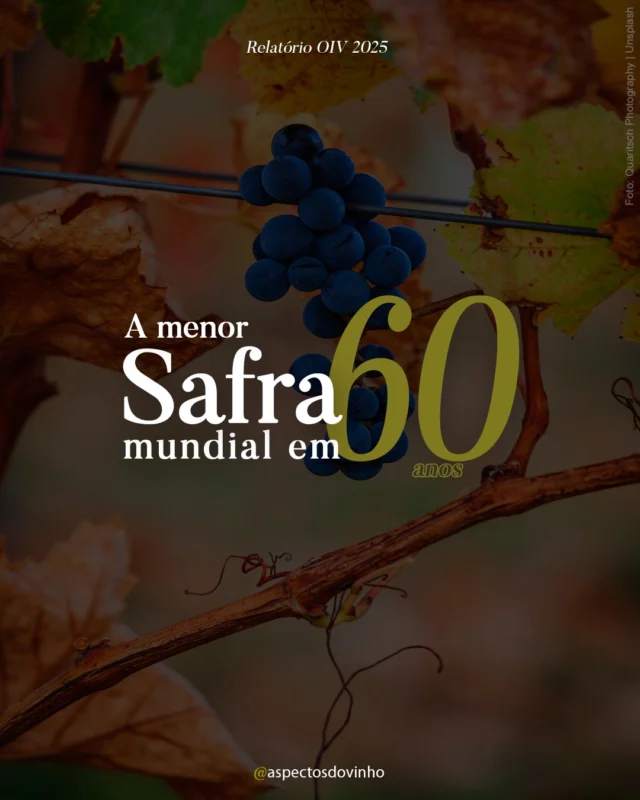 🌍🍇 A menor safra em 60 anos! A OIV revelou que 2024 foi marcado por uma queda histórica na produção mundial de uvas. 

Descubra o que está por trás dessa crise e o que isso significa para o futuro do vinho.

👉 Leia o artigo na íntegra em: aspectosdovinho.com

#ProduçãoMundialDeVinho2024 #SafraDeVinho2024 #RelatórioOIV2025 #CriseNaViticultura #MudançasClimáticasEVinho