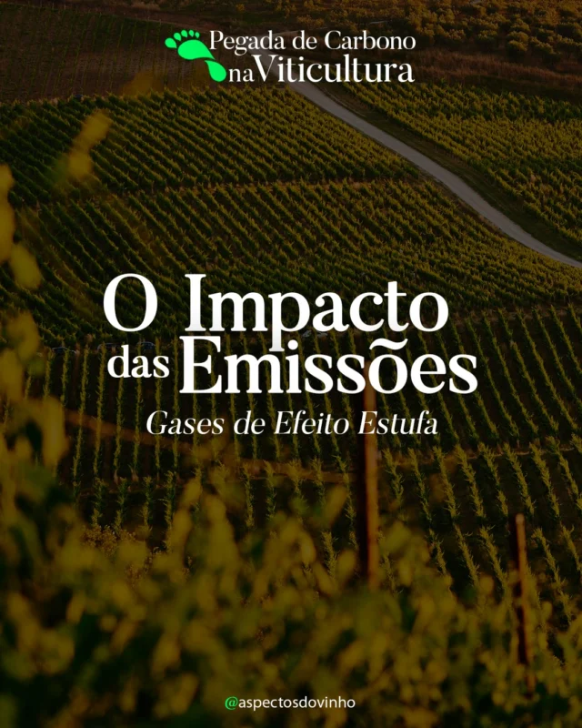 ♻️ A viticultura é responsável por emissões significativas de gases de efeito estufa — mas também tem potencial para liderar soluções.

Adubos nitrogenados, tratores, manejo do solo… a Viticultura pode ultrapassar 25 Mg de CO₂ por hectare ao ano. Mas há alternativas.

Neste artigo da série Pegada de Carbono na Viticultura, mostramos quais práticas mais impactam as emissões e o que pode ser feito para reduzi-las.

🔗 Leia agora em aspectosdovinho.com

#Viticultura #Sutentabilidade #ViticulturaSustentável #CarbonoNaViticultura #PegadaDeCarbono #MudançasClimáticas #AspectosDoVinho